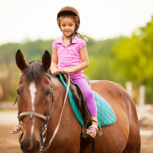 Horse Riding : 1st Lead Rein Lesson