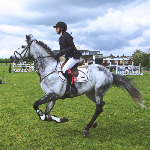 Horse Riding : Intermediate Ride