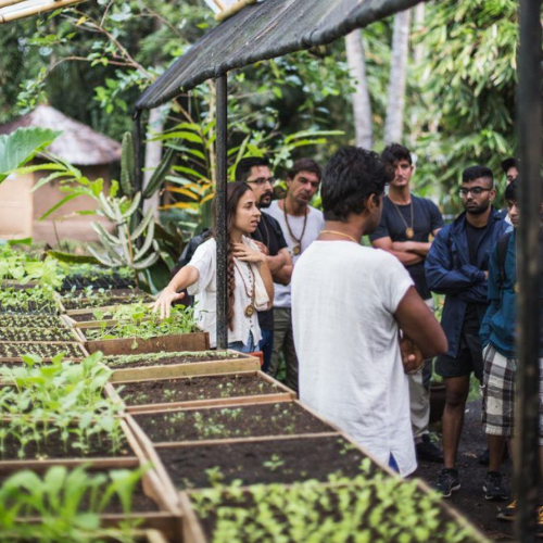 Farm Tour Experience - 2 Adults